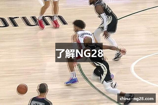 了解NG28